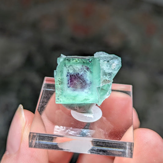 Green Yindu Fluorite