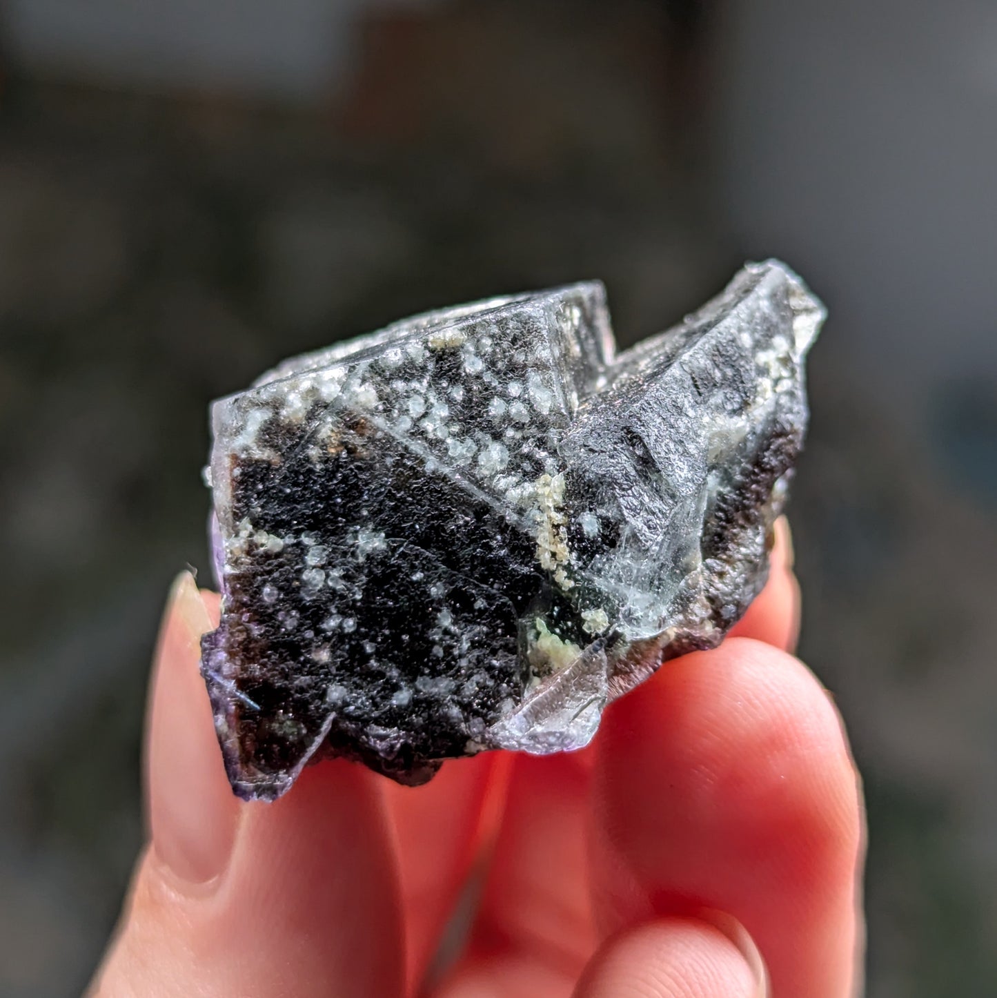 Erongo Fluorite