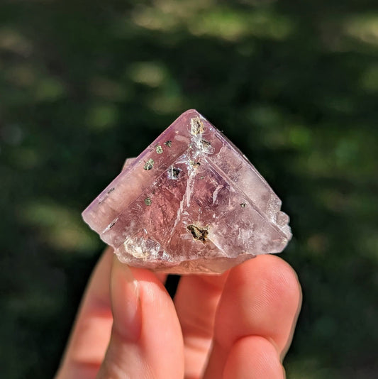 Harvest Pocket England Fluorite