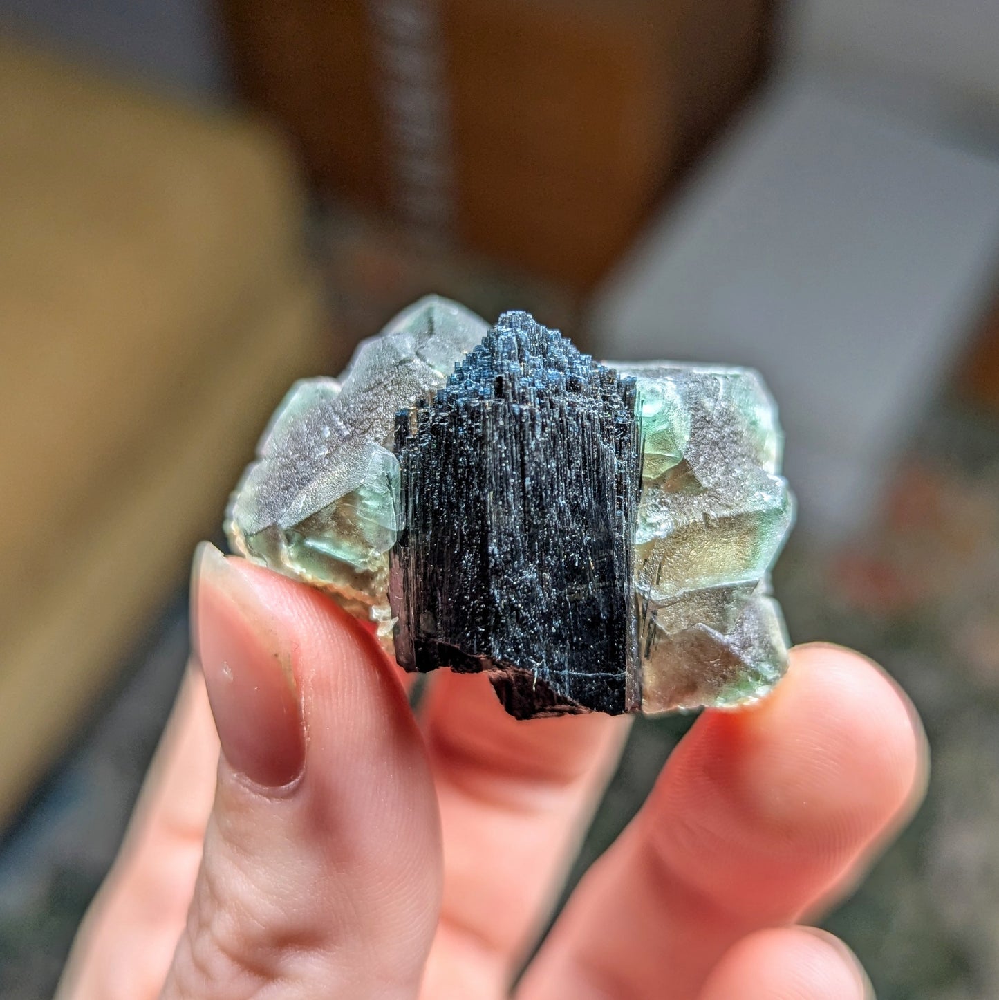 Erongo Fluorite and Schorl