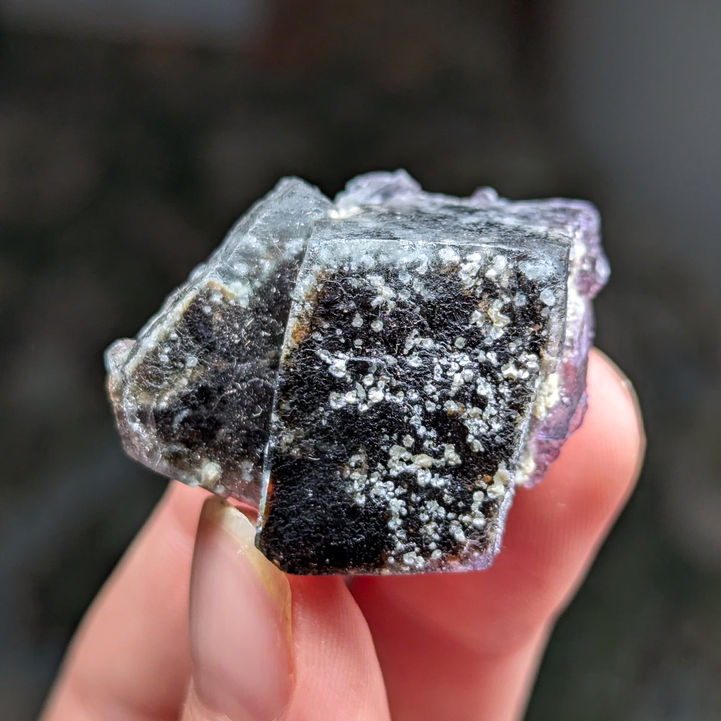 Erongo Fluorite