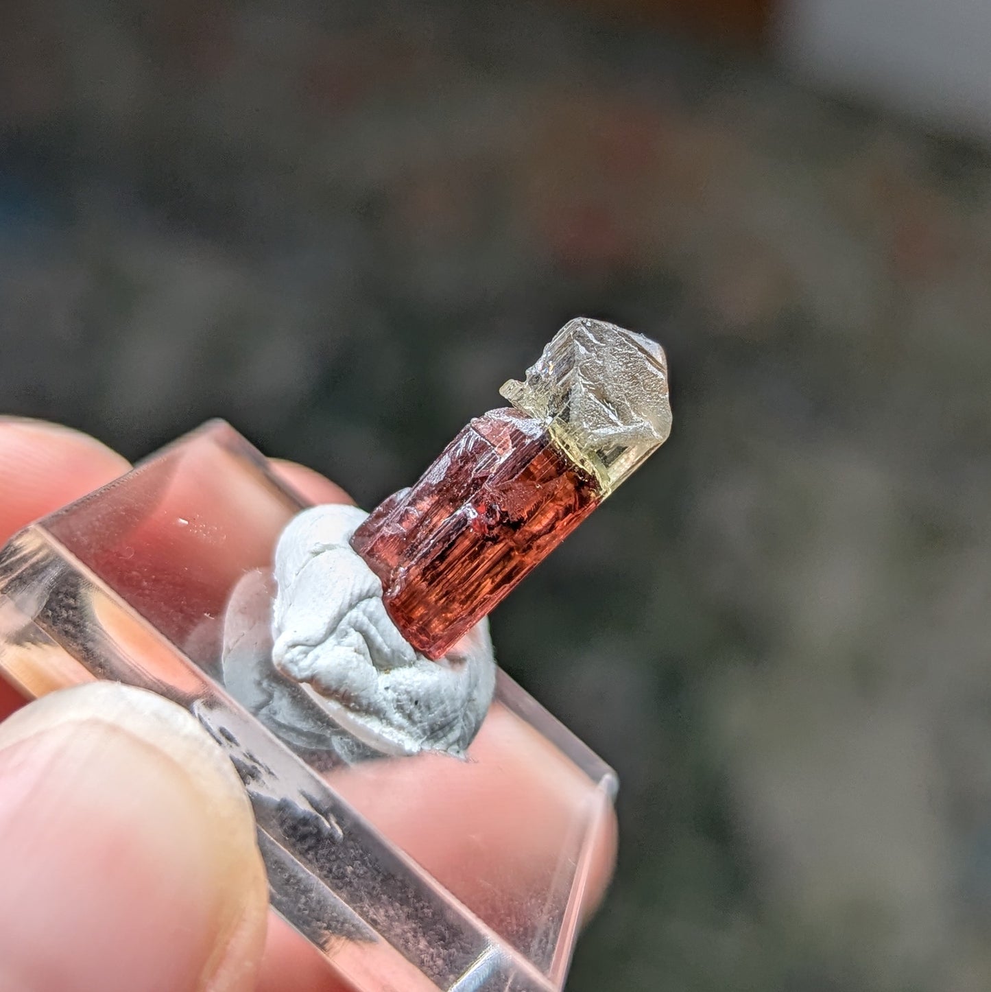 Barra do Salinas Etched Tourmaline