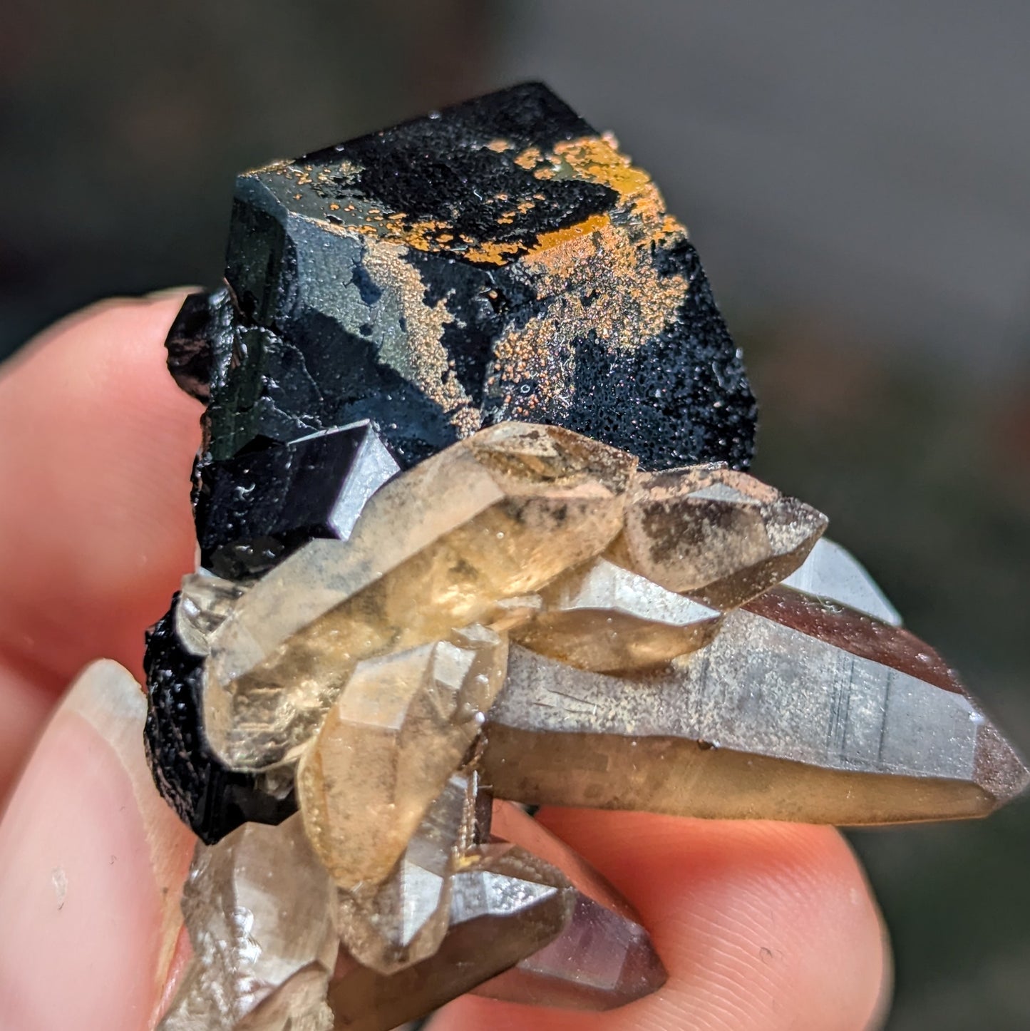 Erongo Smoky Quartz with Schorl