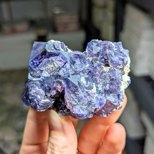 Yindu Deposit Fluorite