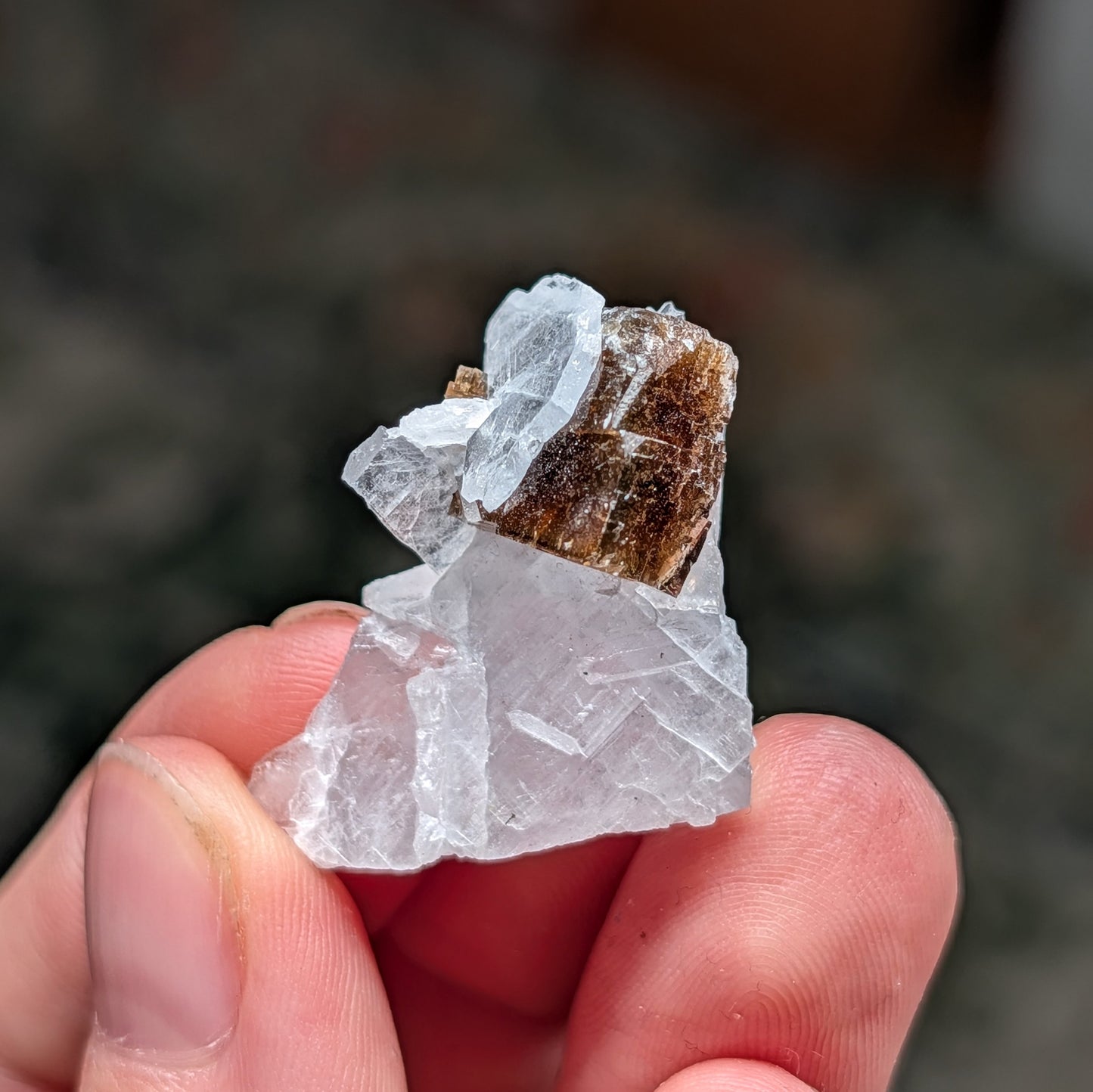 Clay Center Fluorite and Celestine