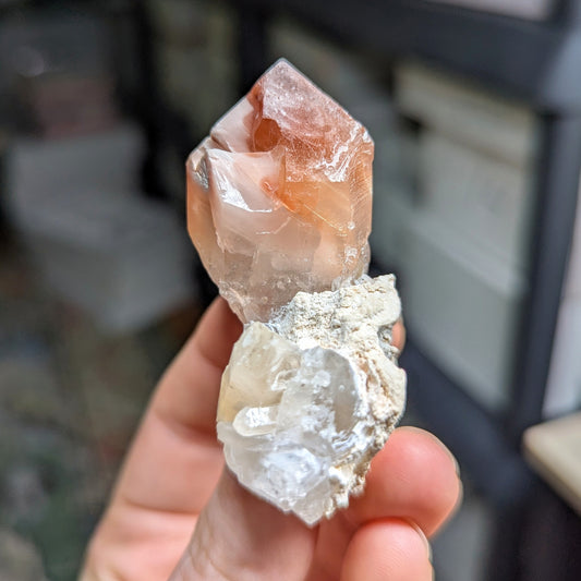 Amphibole Quartz