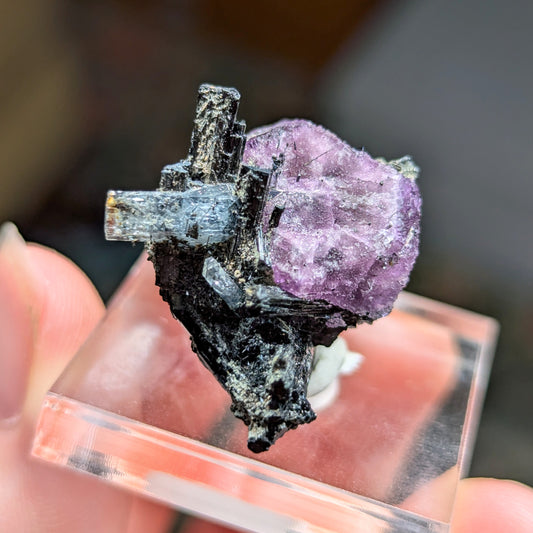 Erongo Fluorite with Aquamarine, Schorl