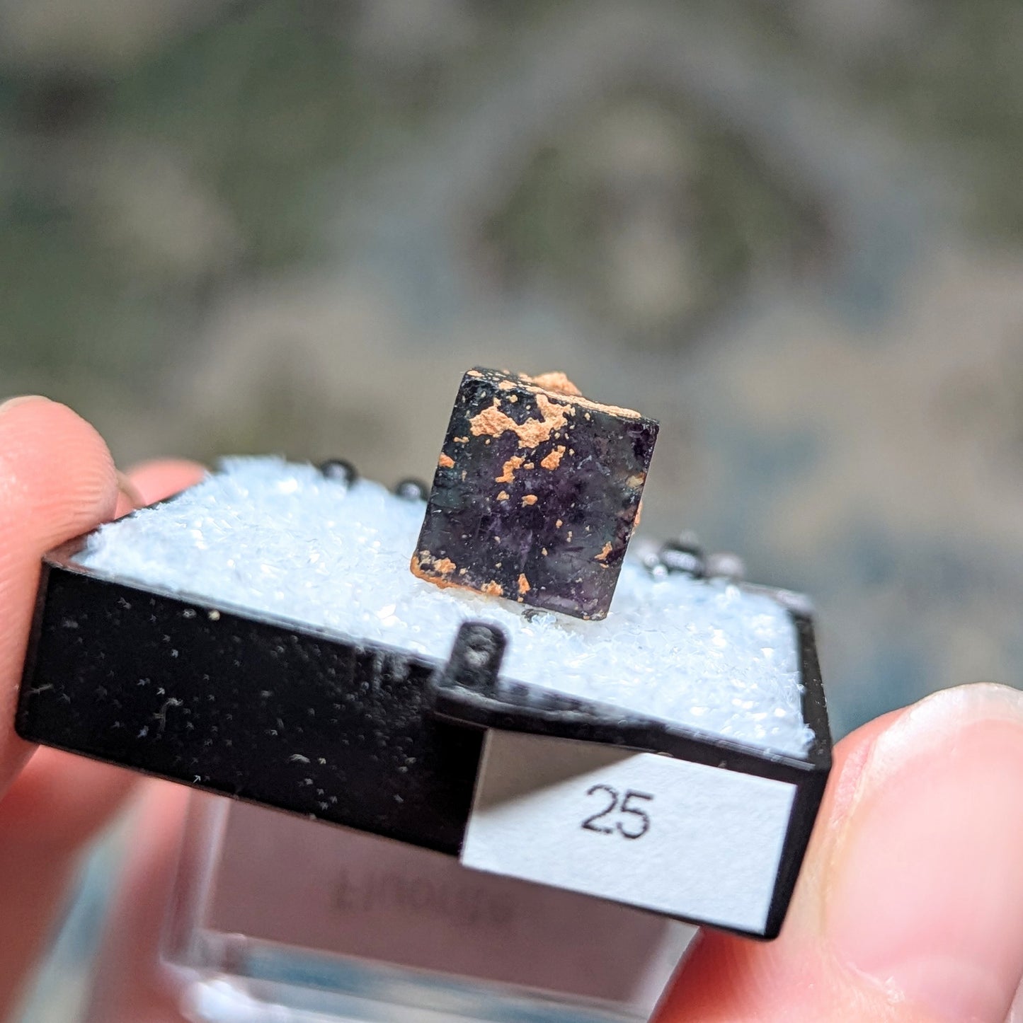 Okorusu Mine Fluorite Perky Box