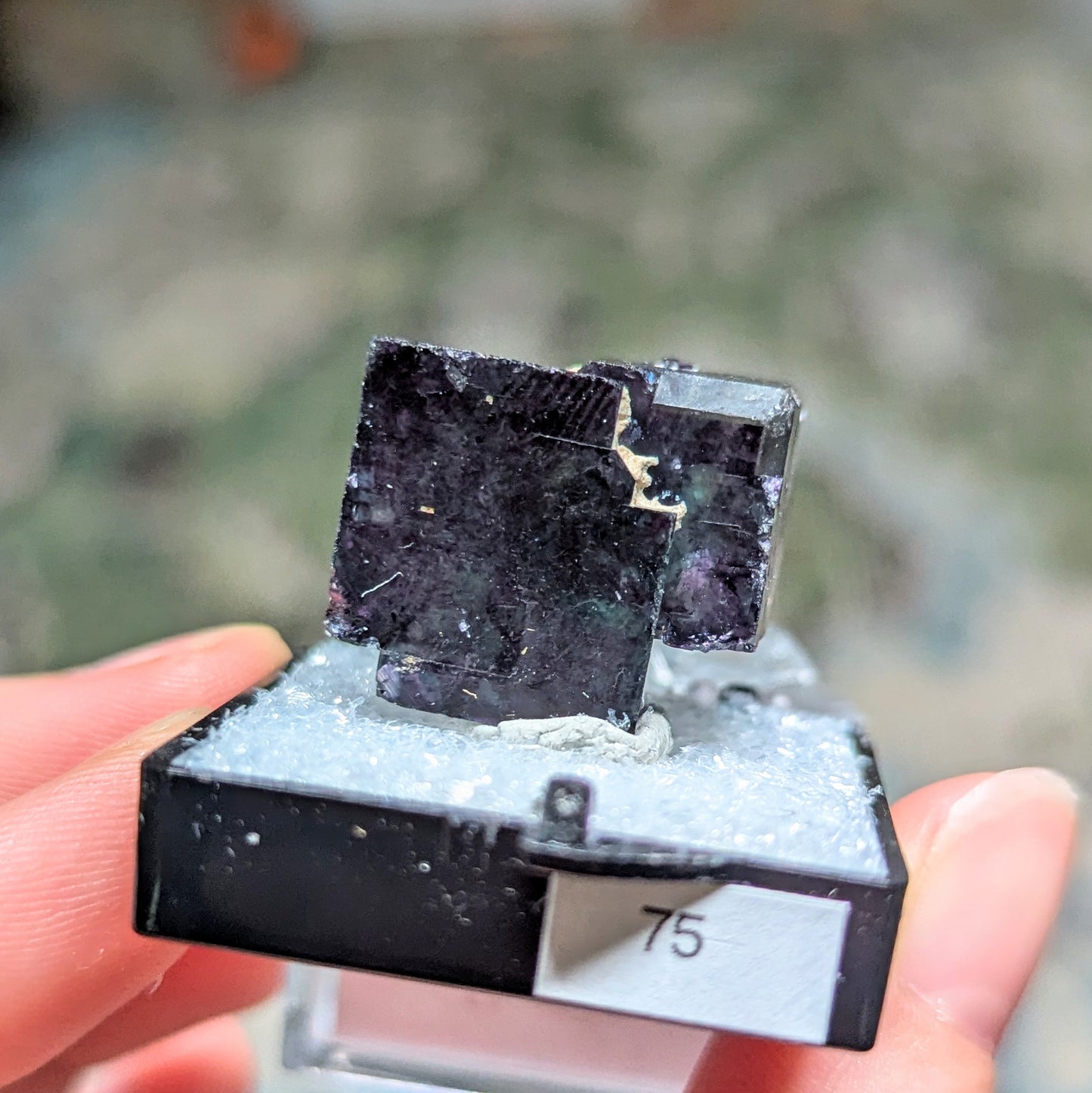 Okorusu Mine Fluorite Perky Box