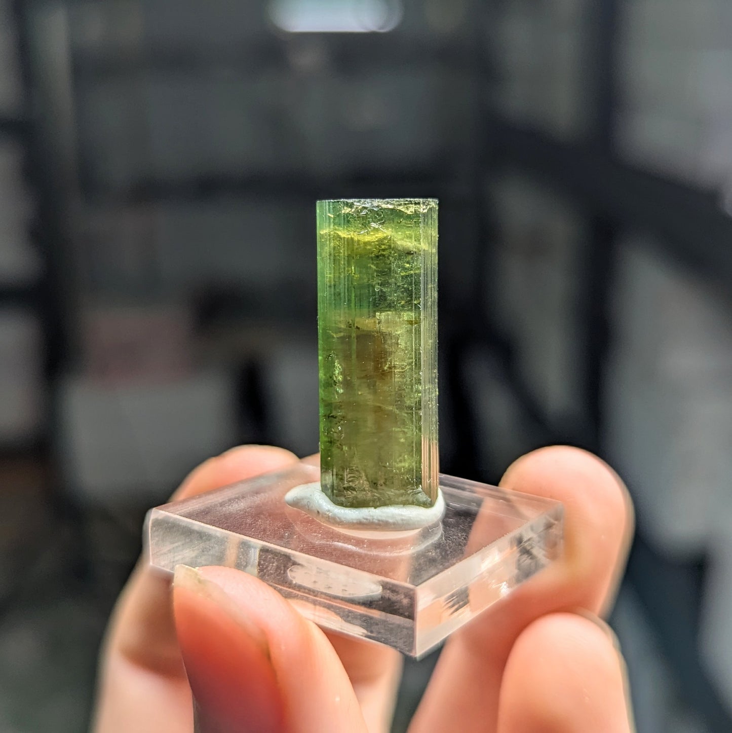 Watermelon Tourmaline