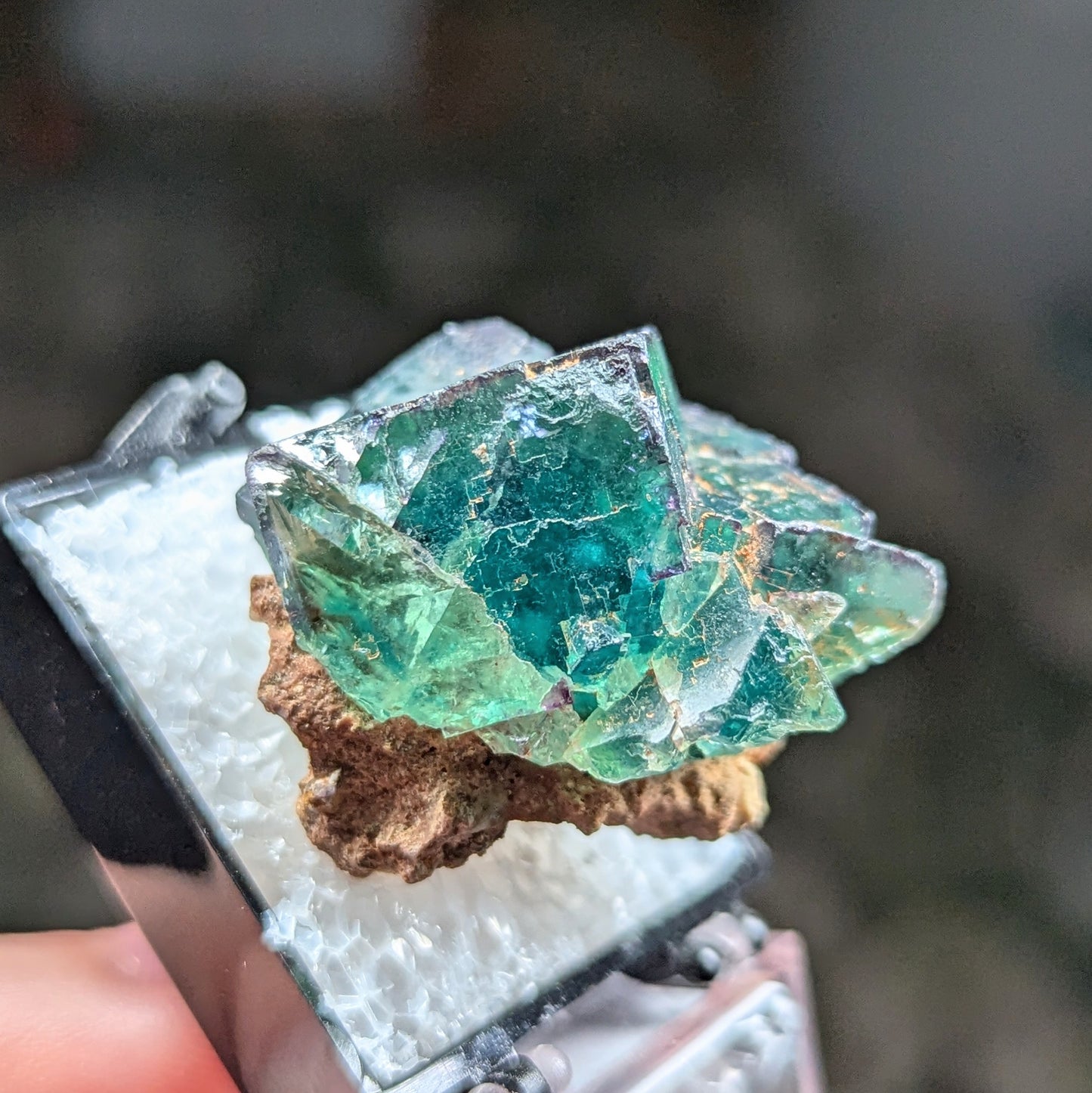 Okorusu Mine Fluorite Perky Box