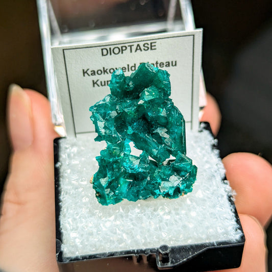 Dioptase Perky Box