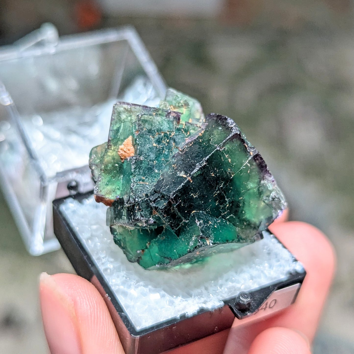 Okorusu Mine Fluorite Perky Box