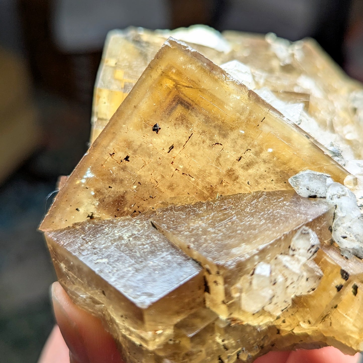 El Hammam Mine Fluorite and Quartz
