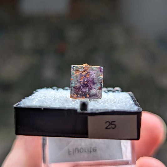 Okorusu Mine Fluorite Perky Box