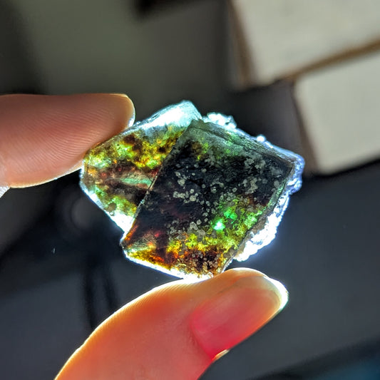 Erongo Fluorite