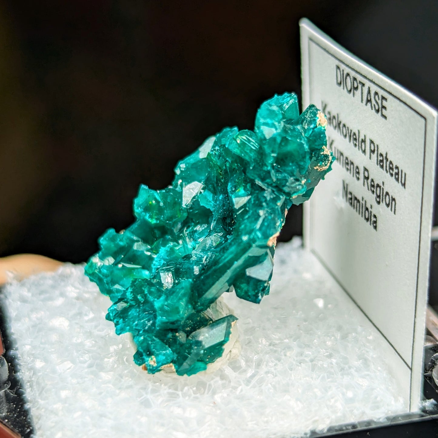 Dioptase Perky Box