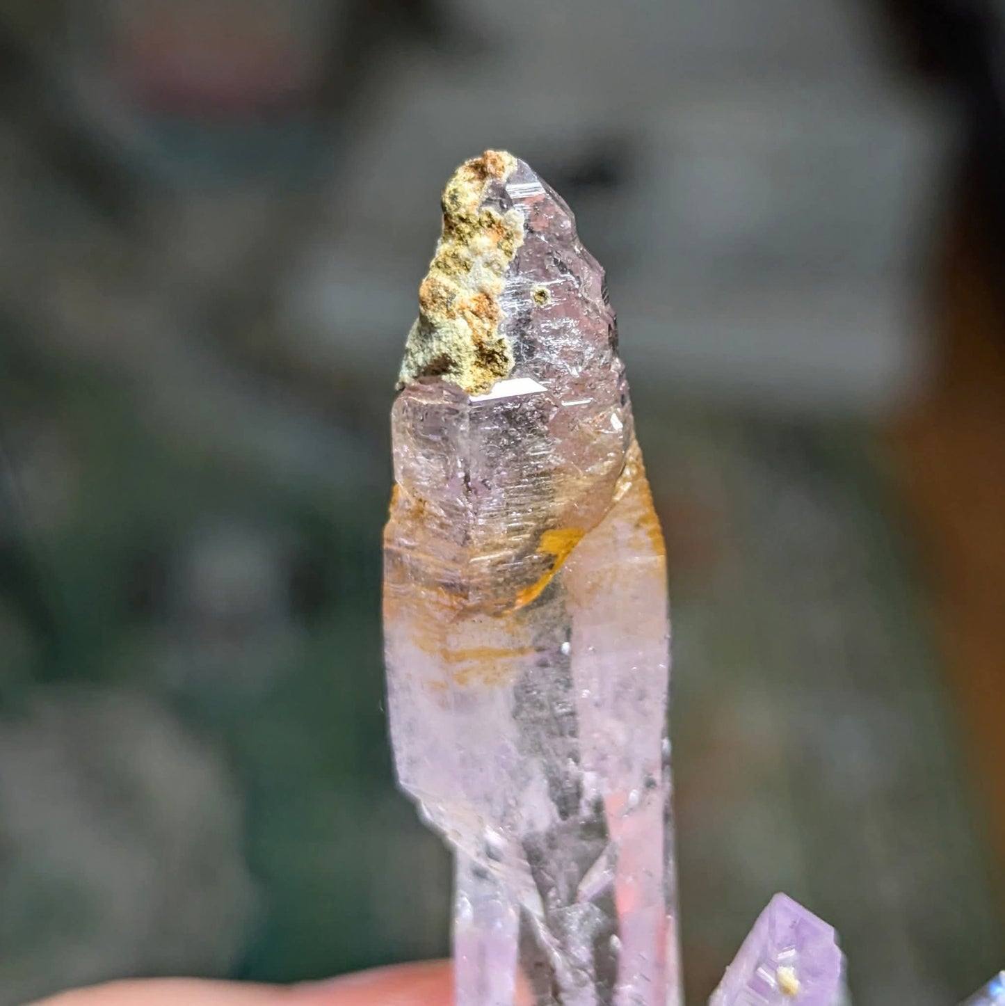 Vera Cruz Amethyst