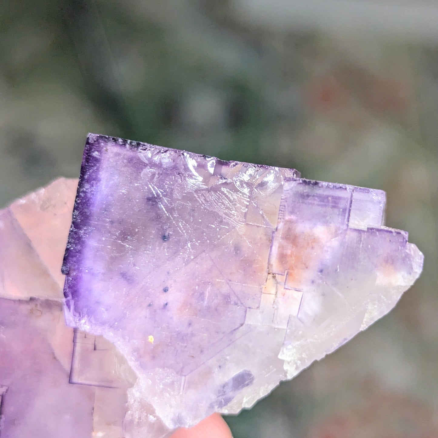 Illinois Fluorite