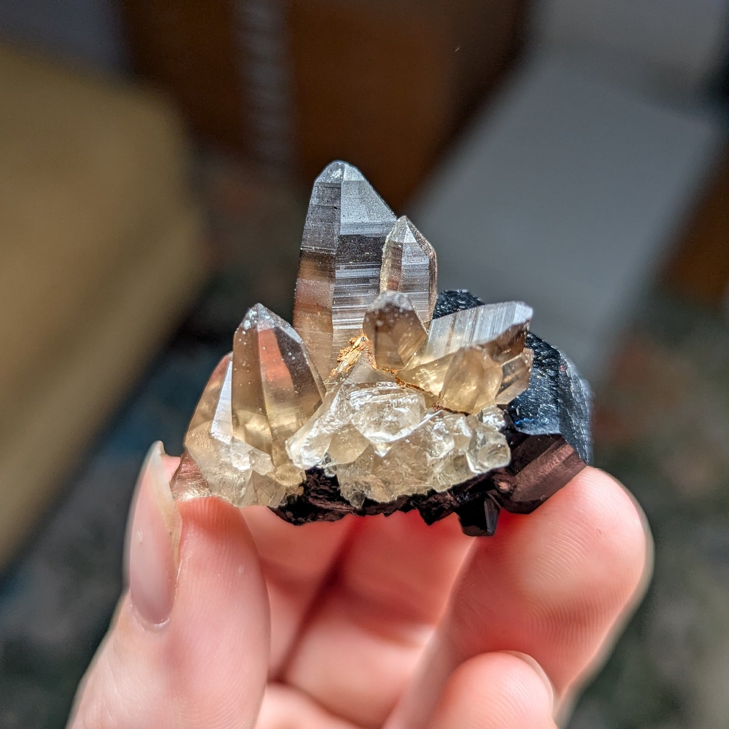 Erongo Smoky Quartz with Schorl