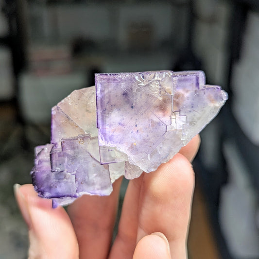 Illinois Fluorite
