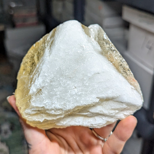 Angel Wing Calcite