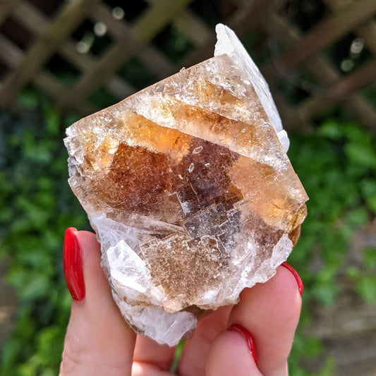 Clay Center Fluorite and Celestine