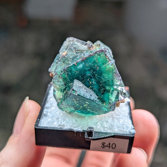 Okorusu Mine Fluorite Perky Box