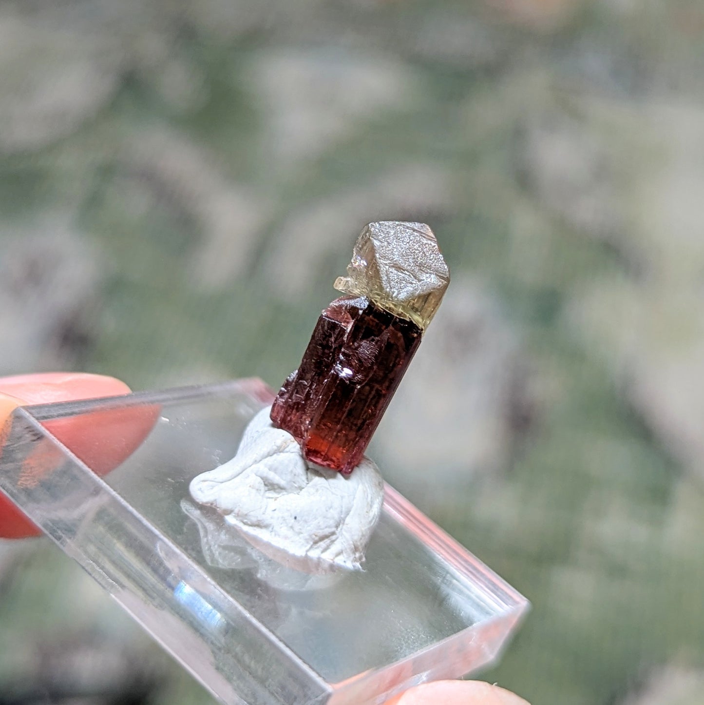Barra do Salinas Etched Tourmaline