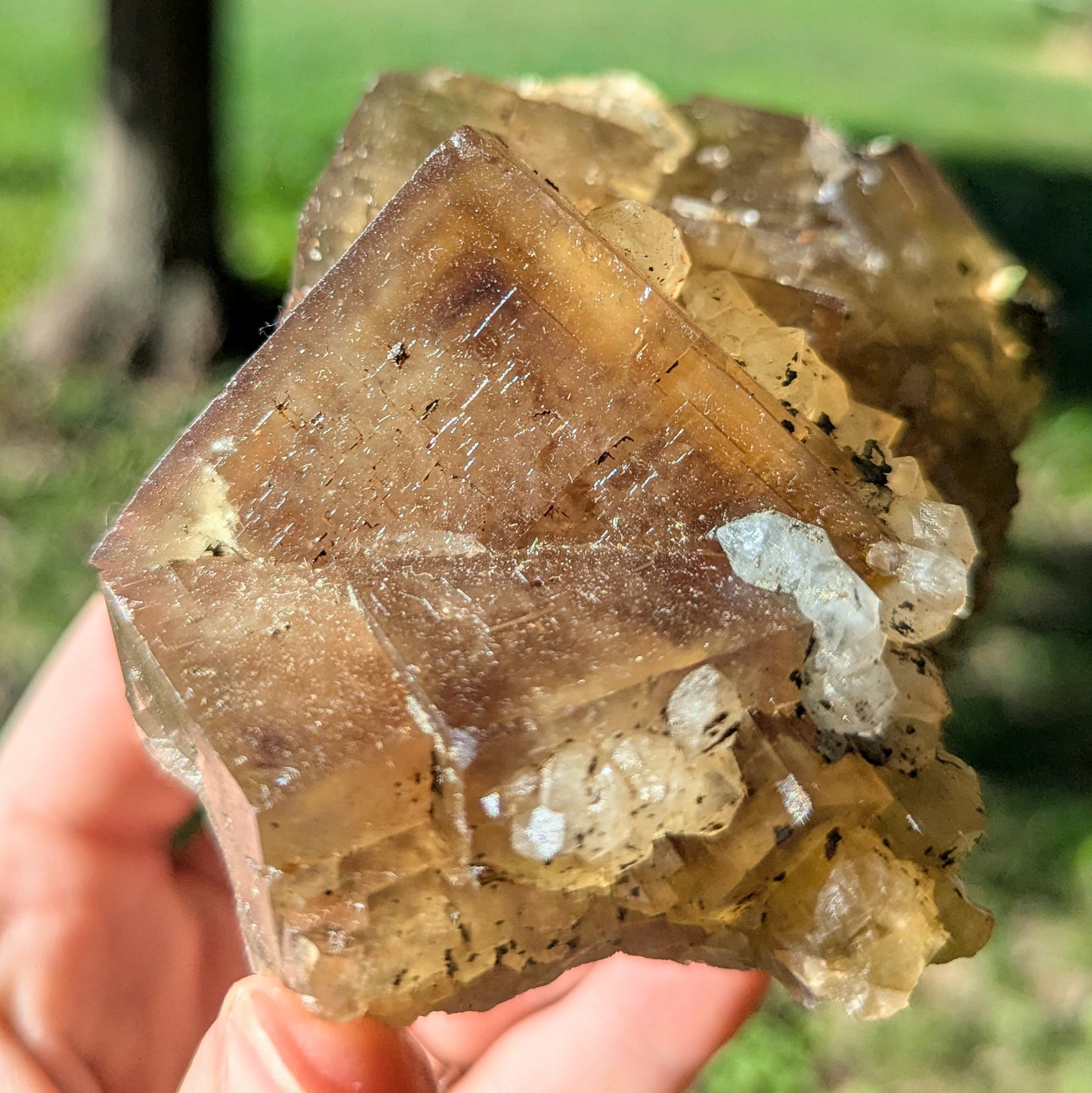 El Hammam Mine Fluorite and Quartz