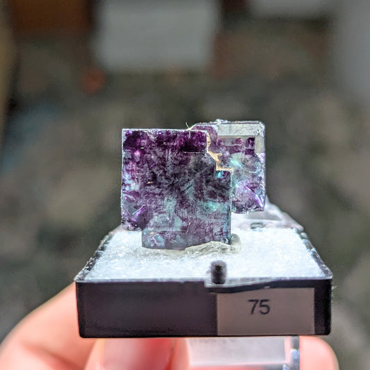 Okorusu Mine Fluorite Perky Box