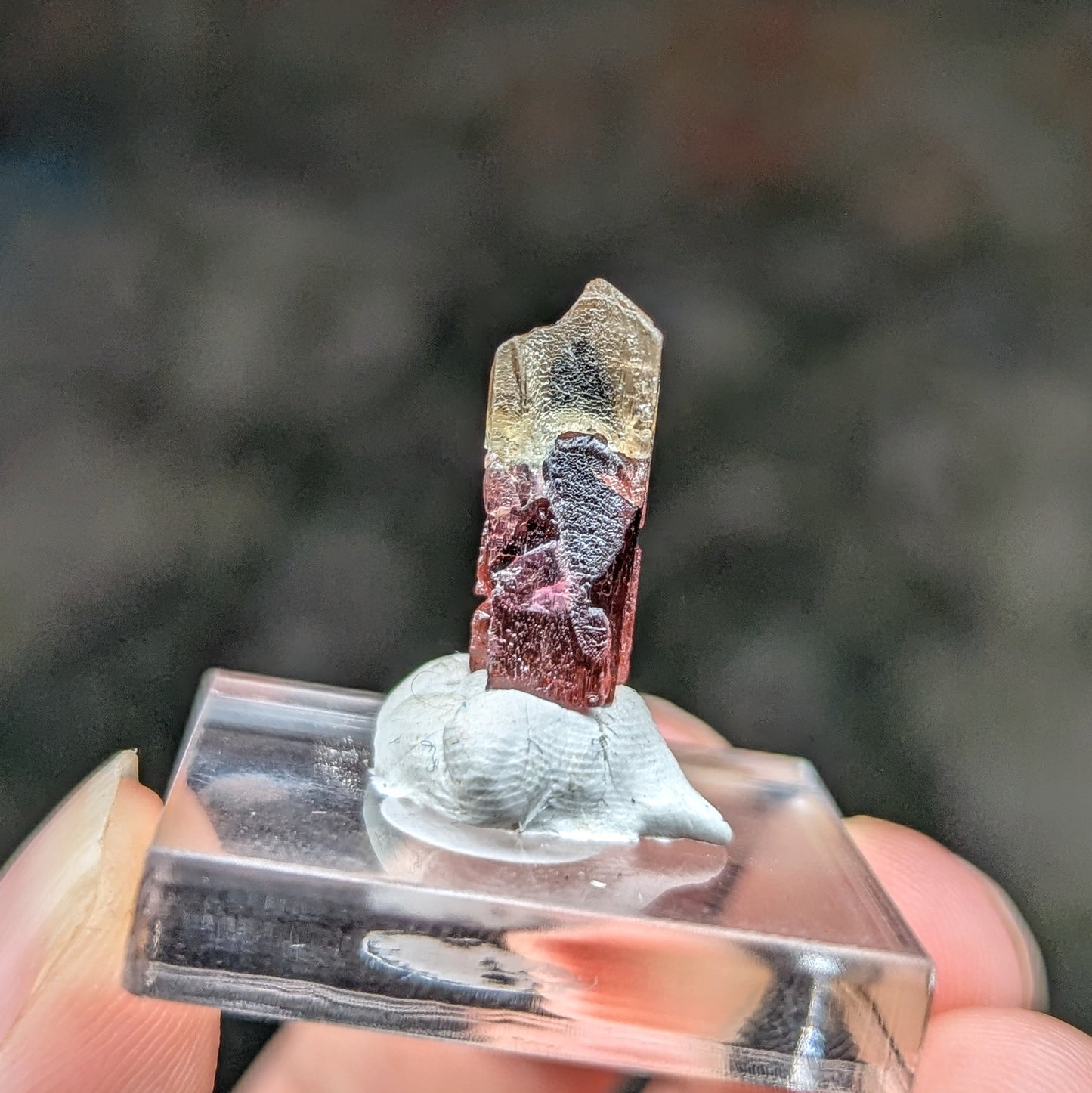 Barra do Salinas Etched Tourmaline