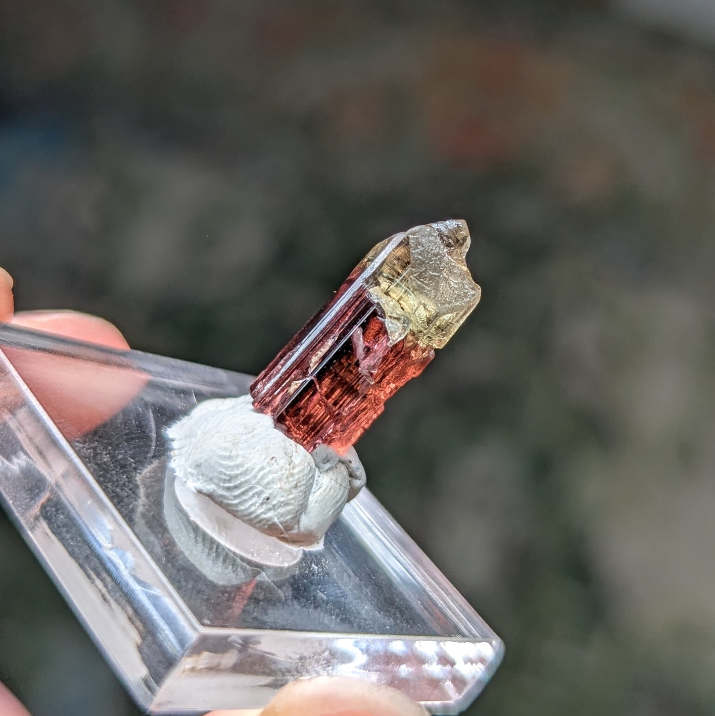 Barra do Salinas Etched Tourmaline