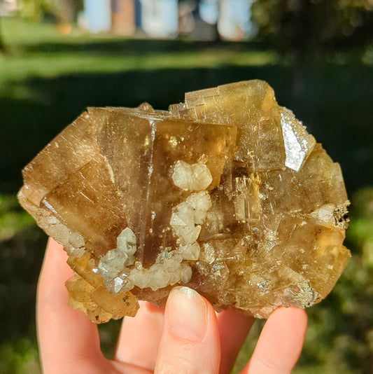 El Hammam Mine Fluorite and Quartz