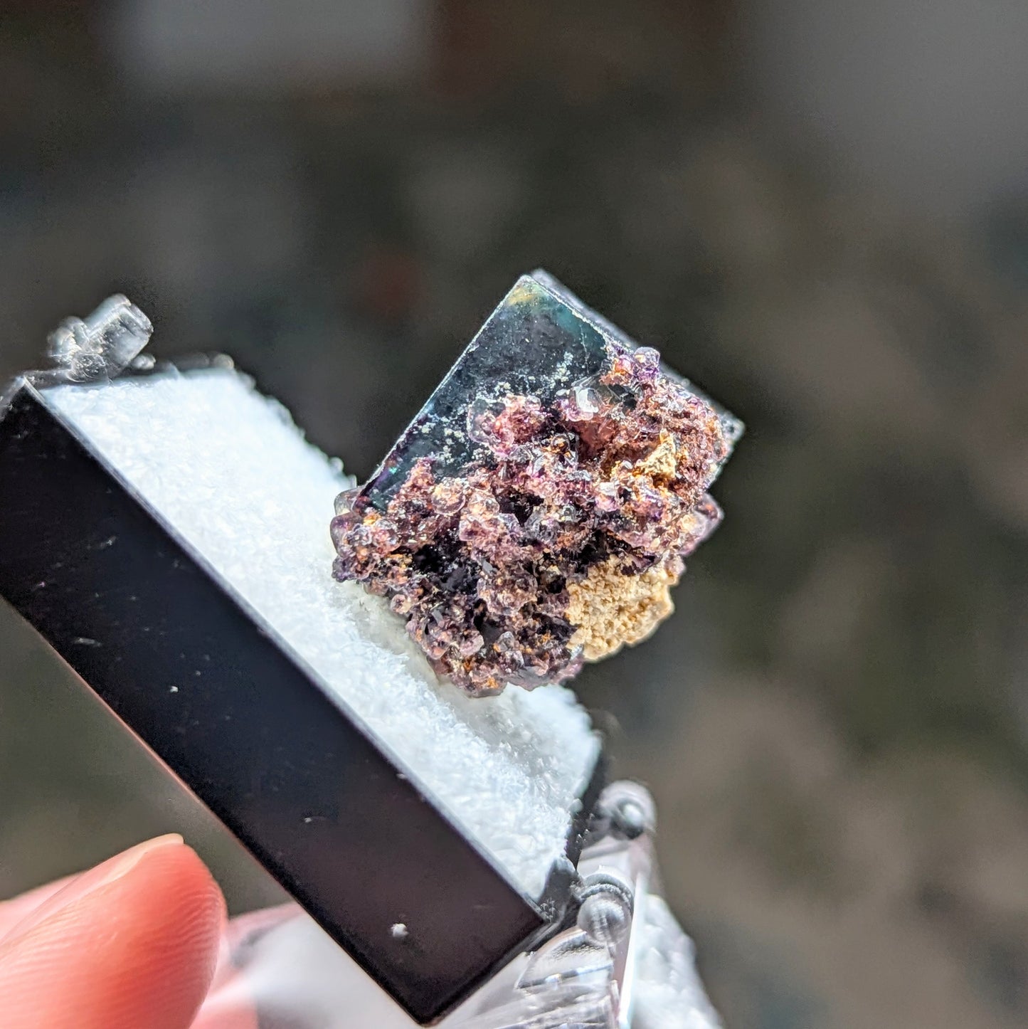 Okorusu Mine Fluorite Perky Box