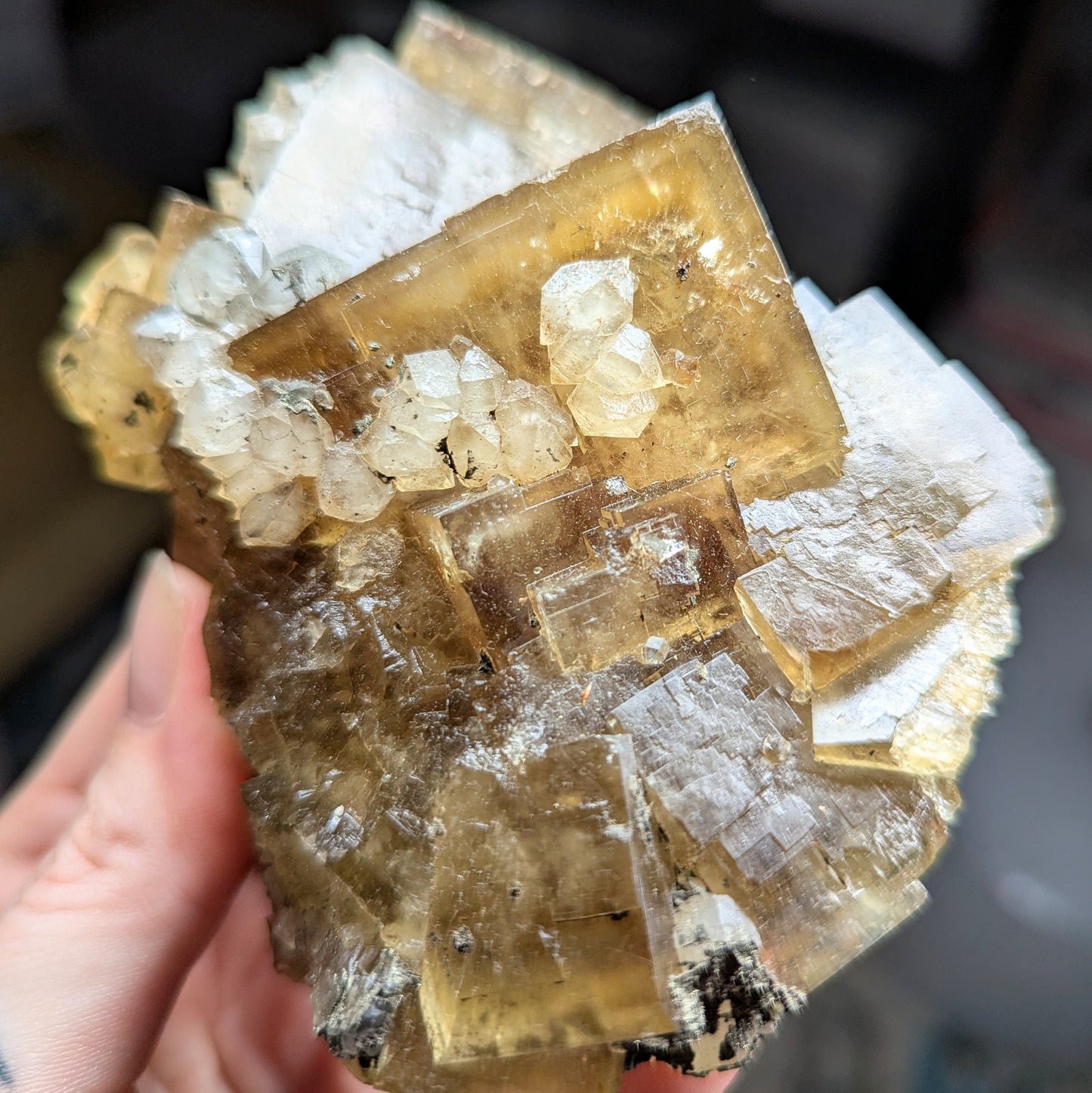 El Hammam Mine Fluorite and Quartz