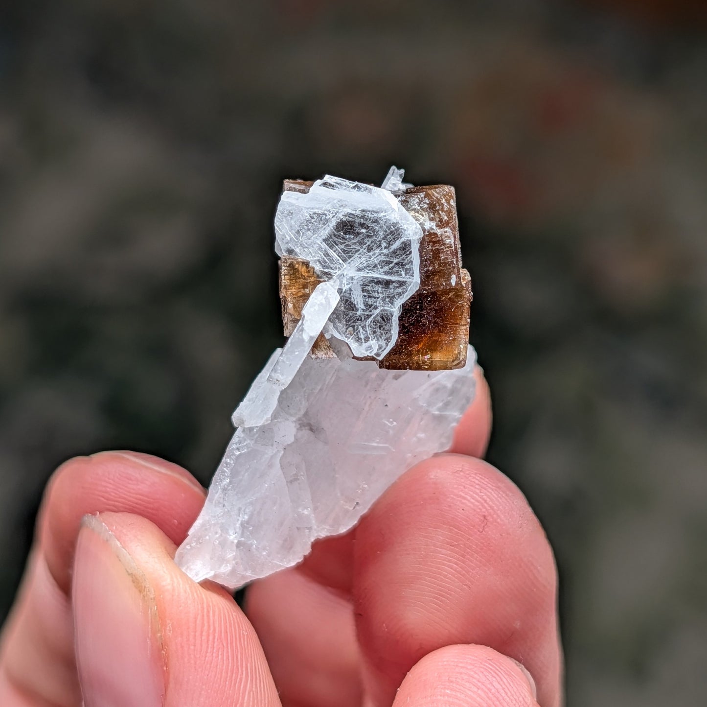 Clay Center Fluorite and Celestine