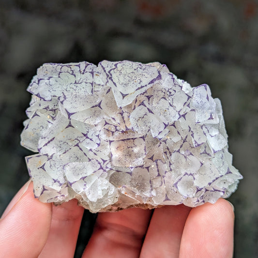 Guizhou Outline Fluorite