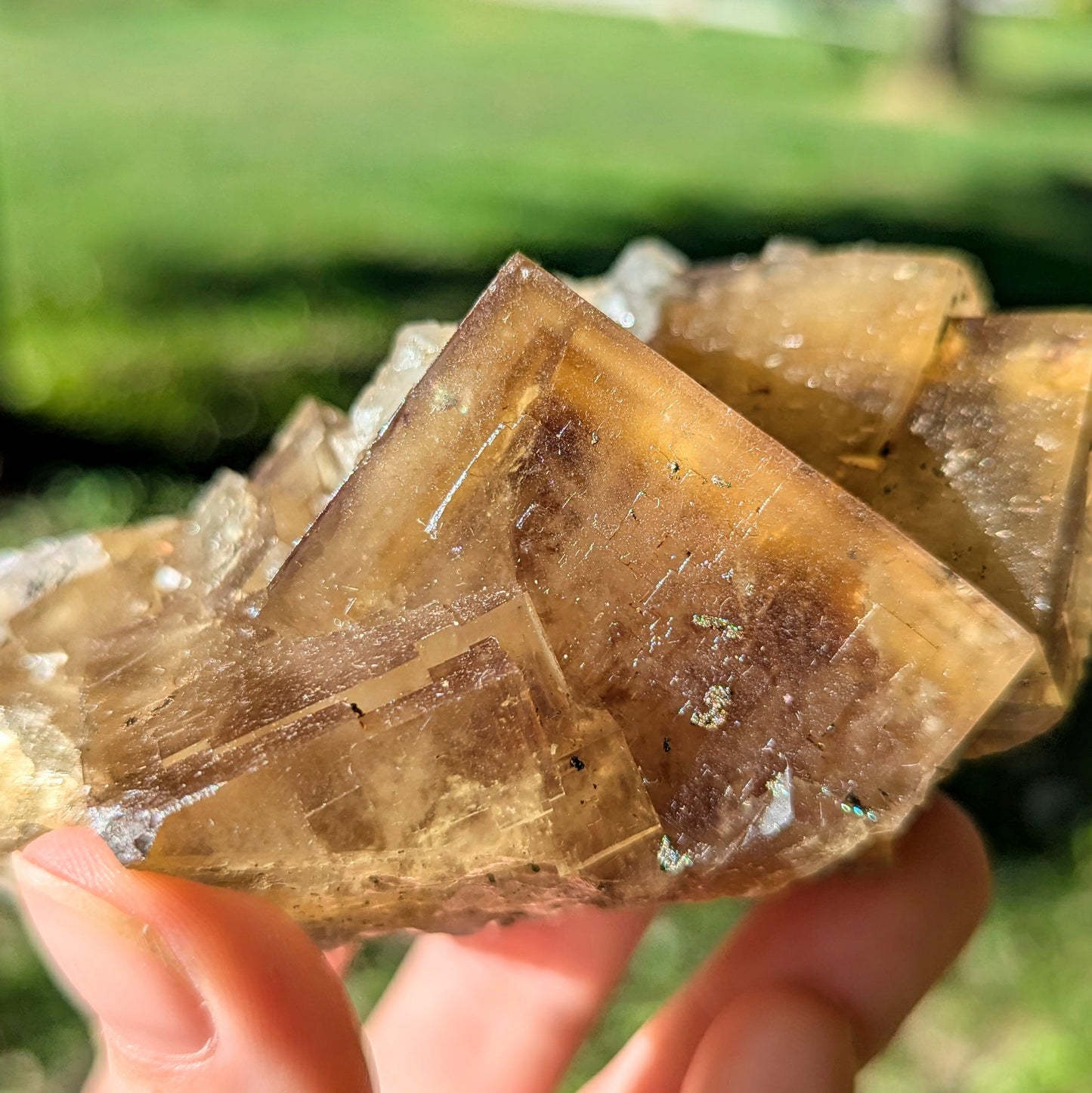 El Hammam Mine Fluorite and Quartz