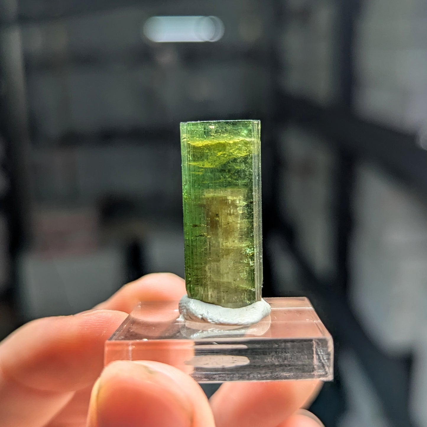 Watermelon Tourmaline
