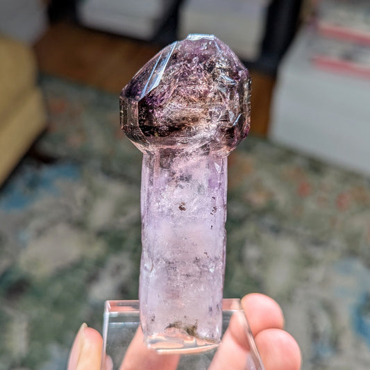 Chibuku Mine Amethyst Scepter w. Enhydros