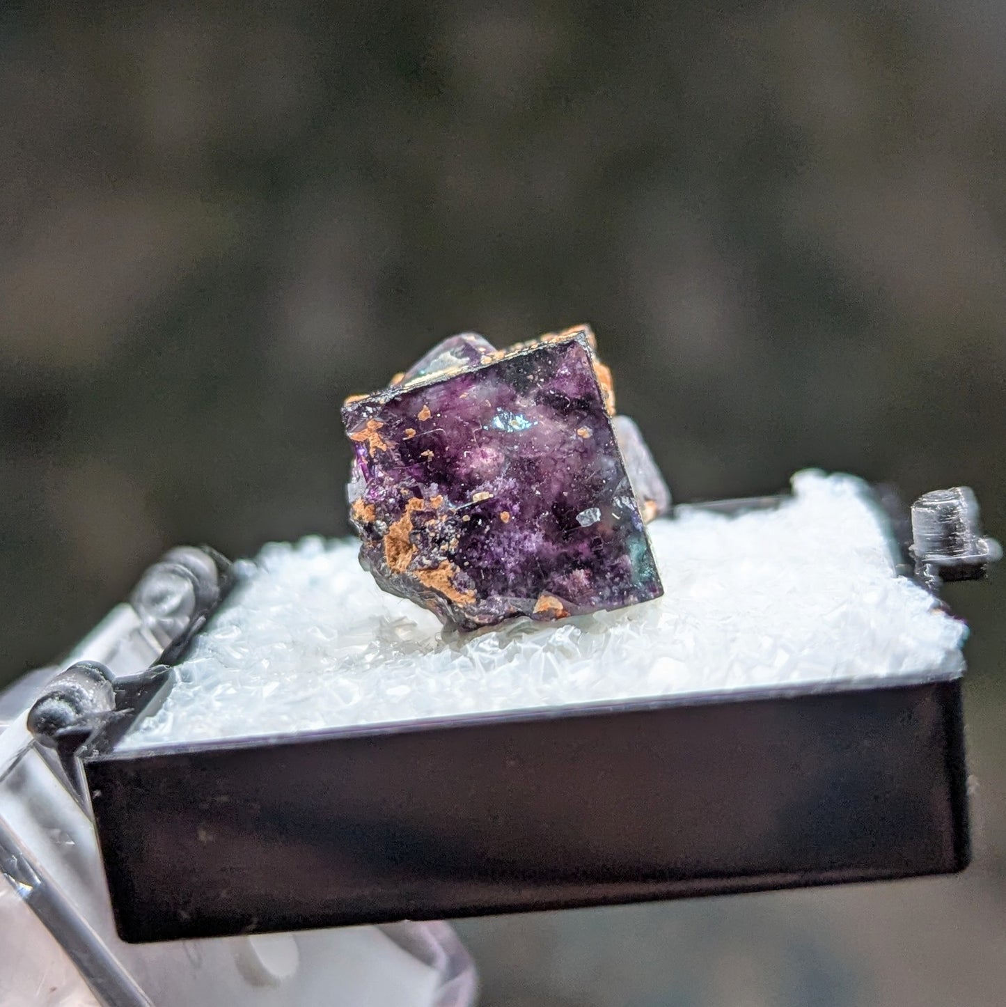 Okorusu Mine Fluorite Perky Box