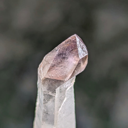 Madagascar Amethyst Scepter