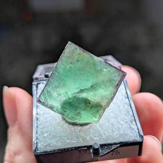 Okorusu Mine Fluorite Perky Box