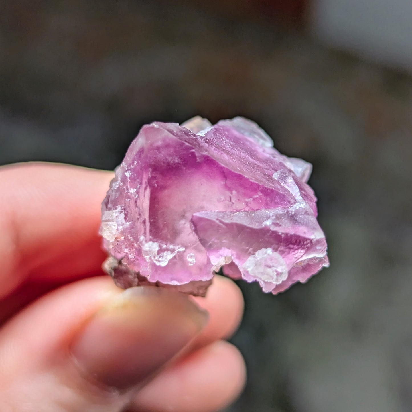 Surprise Mine Fluorite