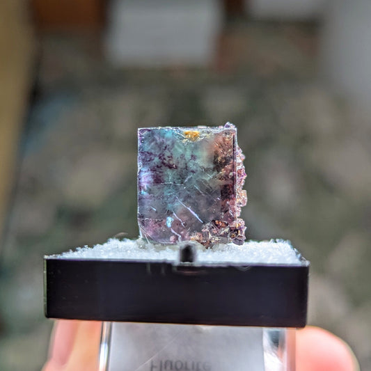 Okorusu Mine Fluorite Perky Box
