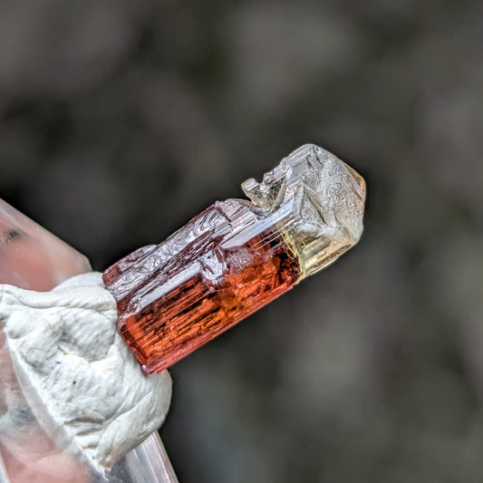 Barra do Salinas Etched Tourmaline