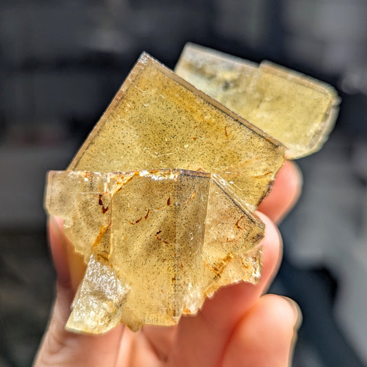 Niederschlag Mine Fluorite