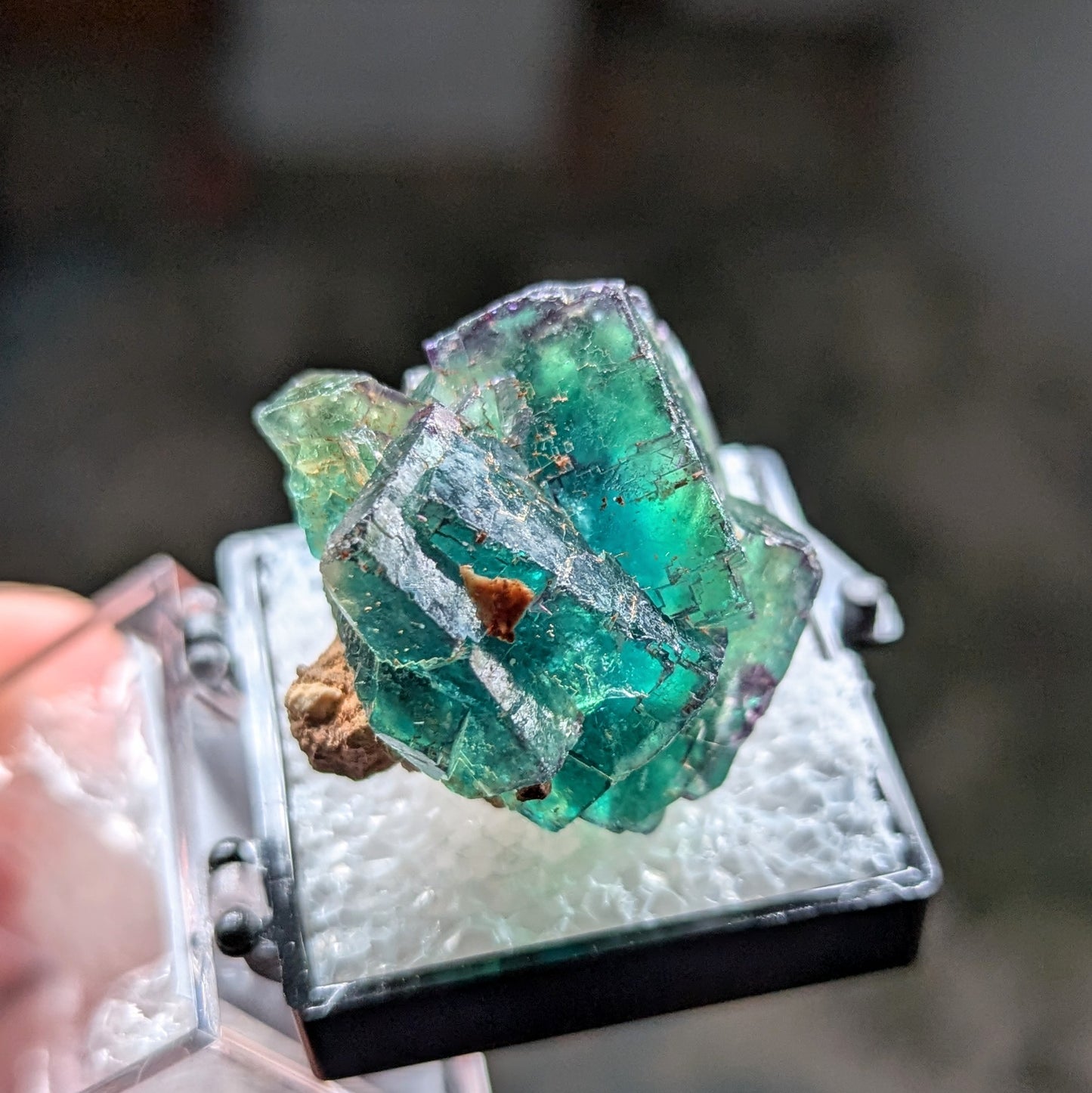Okorusu Mine Fluorite Perky Box