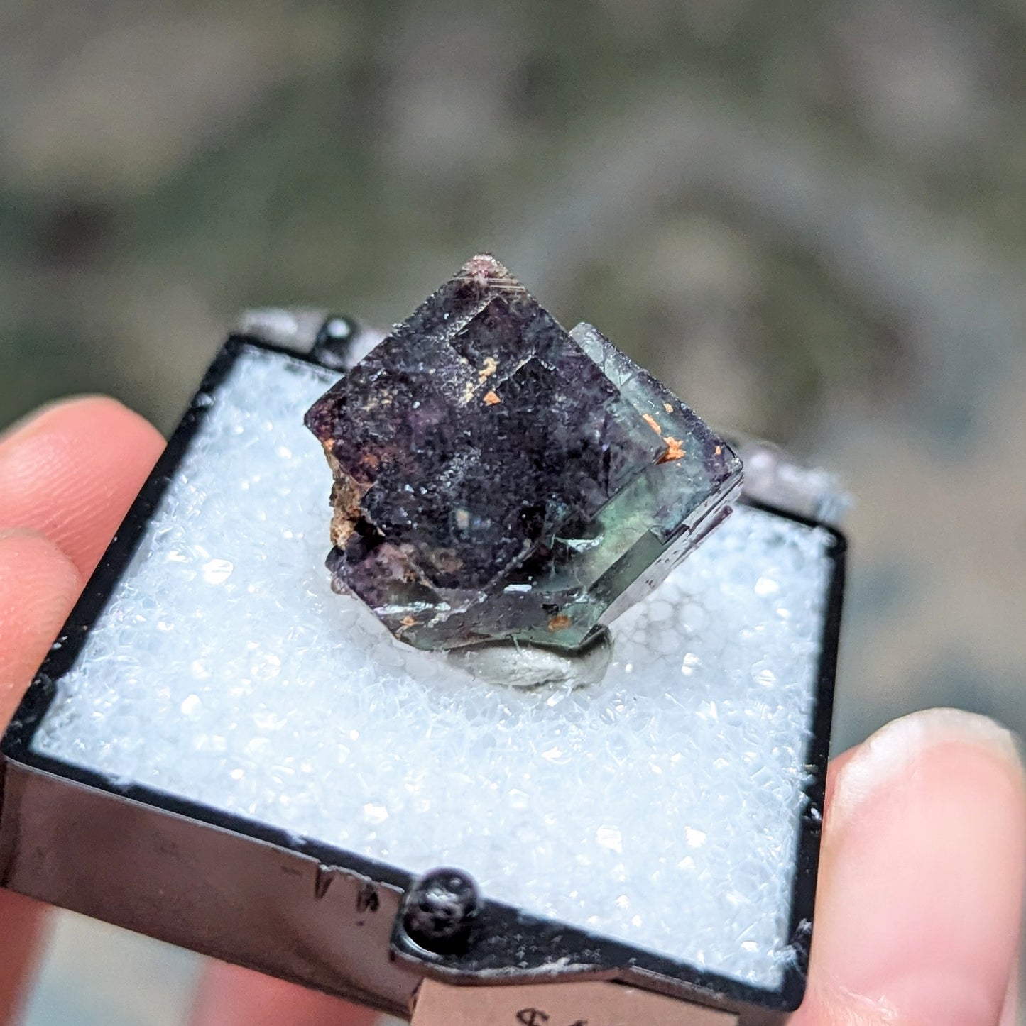Okorusu Mine Fluorite Perky Box